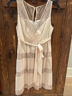 Max & Cleo Blush Lace Panel Sleeveless Dress